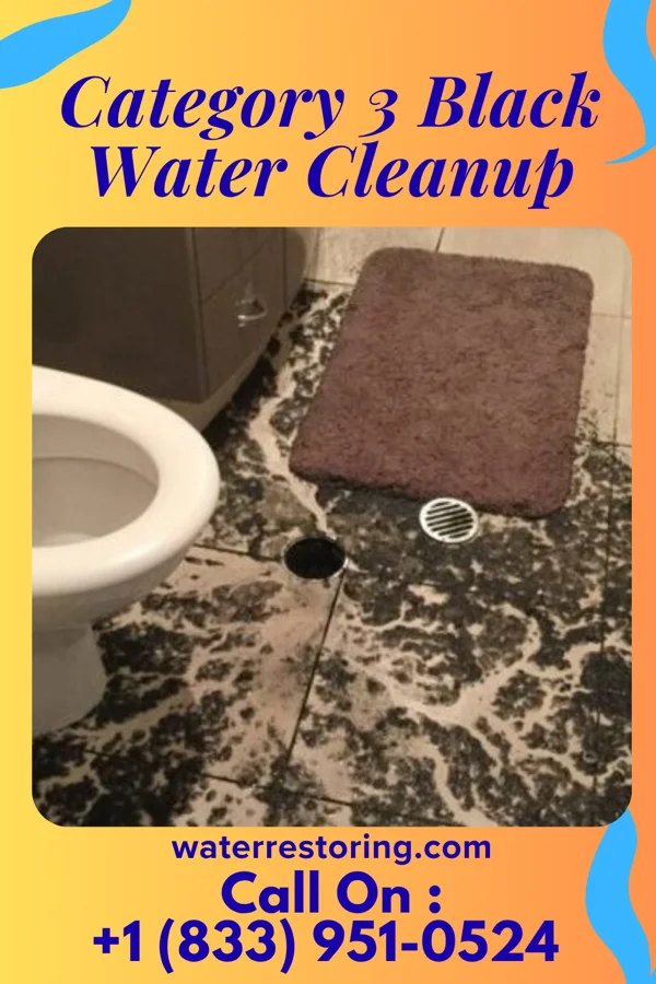 Category 3 Black Water Cleanup in Etna Green, IN