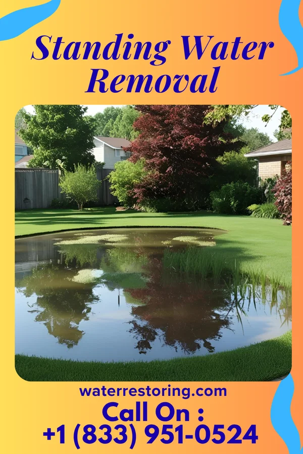 Standing Water Removal in Etna Green, IN